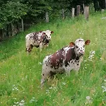 Bamerhof *