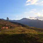 Bamerhof Çiftlik konaklama Mittersill