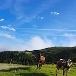 Séjour à la ferme Bamerhof