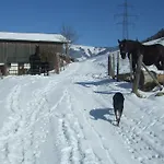 Séjour à la ferme Bamerhof *