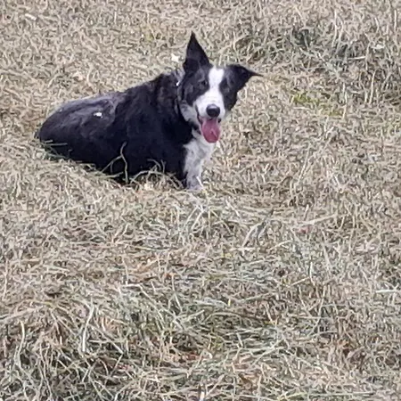 בית חווה Bamerhof *