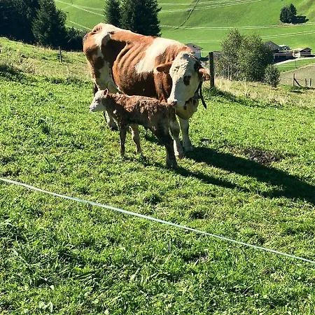 Bamerhof * Mittersill