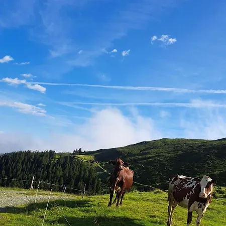 Agroturismo Bamerhof