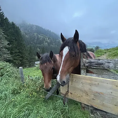 Bamerhof Agroturismo *