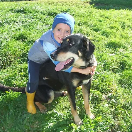 Farmház Bamerhof Mittersill