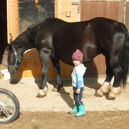 Agroturismo Bamerhof *