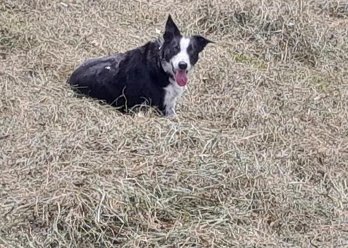 בית חווה Bamerhof *