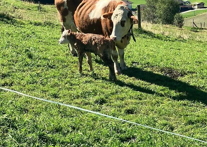 Bamerhof * מיטרסיל