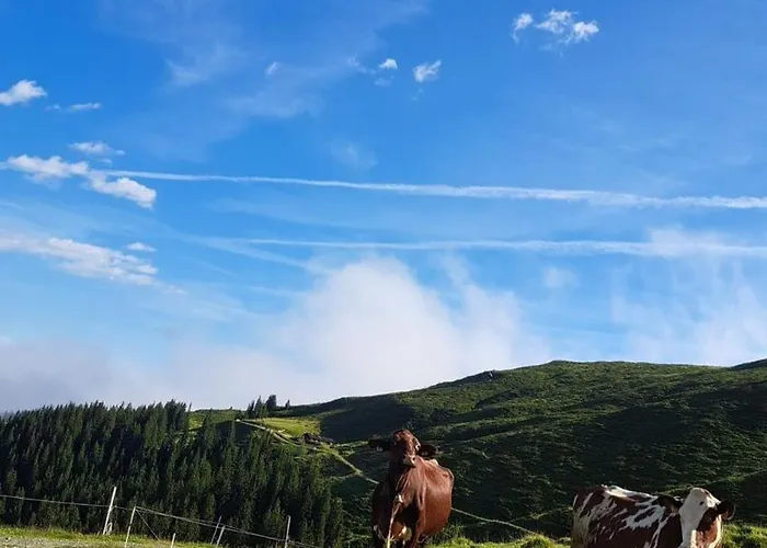 ファームステイ Bamerhof