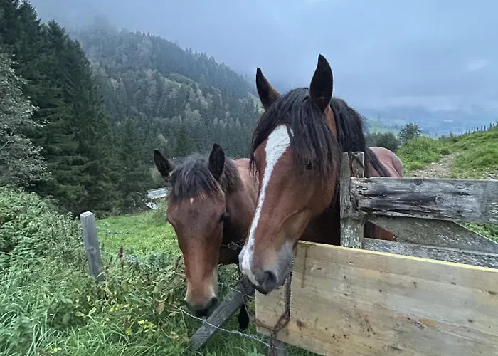 Bamerhof ファームステイ *