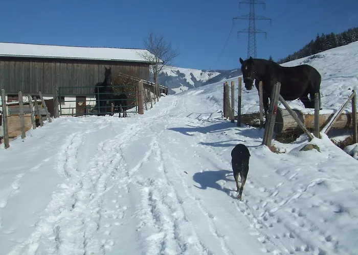 Séjour à la ferme Bamerhof *