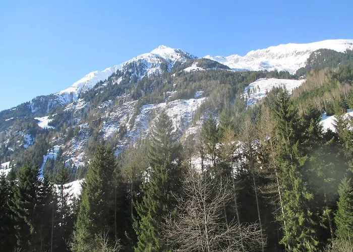 Bamerhof ファームステイ *